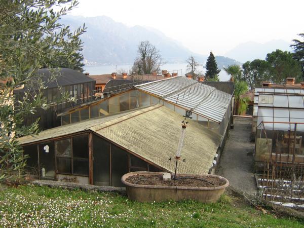 Menaggio-Serre per Coltivazione 451536a.jpg Menaggio-Serre per Coltivazione 451536a.jpg