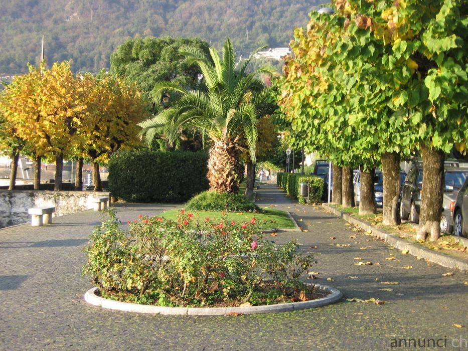 Menaggio-Cubatura per Costruzione MenaggioCubaturaperCostruzione.jpg Menaggio-Cubatura per Costruzione MenaggioCubaturaperCostruzione.jpg