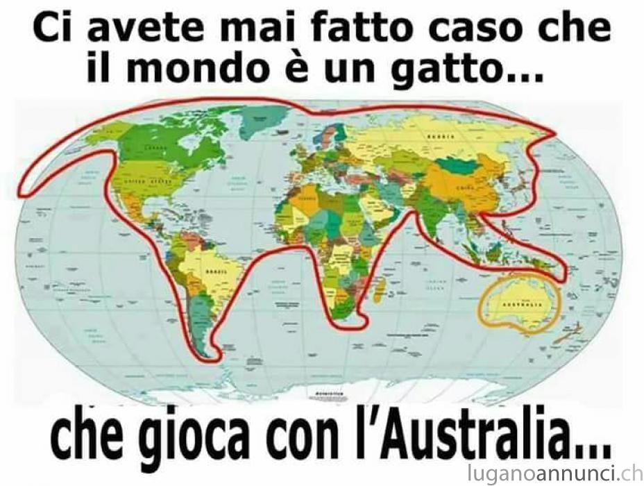 PULIZIE PER APPARTAMENTI E UFFICI REFERENZIATA PULIZIEPERAPPARTAMENTIEUFFICIREFERENZIATA.jpg PULIZIE PER APPARTAMENTI E UFFICI REFERENZIATA PULIZIEPERAPPARTAMENTIEUFFICIREFERENZIATA.jpg