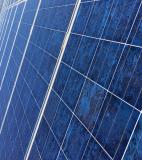 Pannelli solari Canadian Solar 235 WATT PannellisolariCanadianSolar235WATT.jpg Pannelli solari Canadian Solar 235 WATT PannellisolariCanadianSolar235WATT.jpg