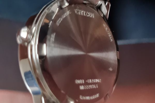 Orologio   Donna Citizen Eco Drive Solo Tempo Data EW2620-86L orologiodonnacitizenecodriveso1.jpg